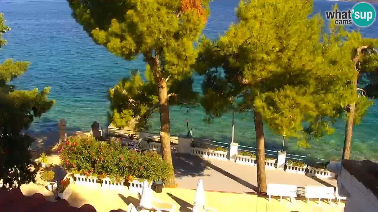 Lumbarda Resort camera en vivo Korčula