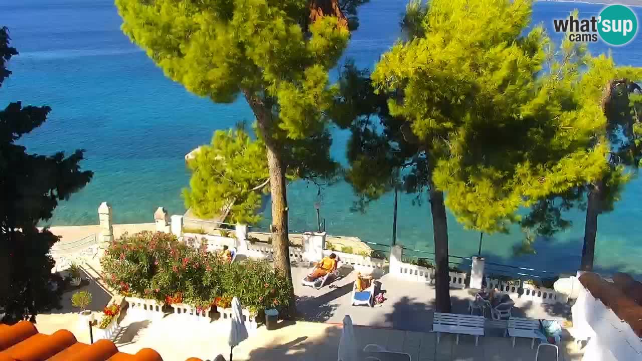 Lumbarda Resort webcam Kurzel