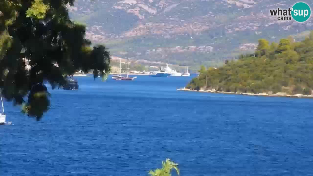 Lumbarda resort Webcam Korčula