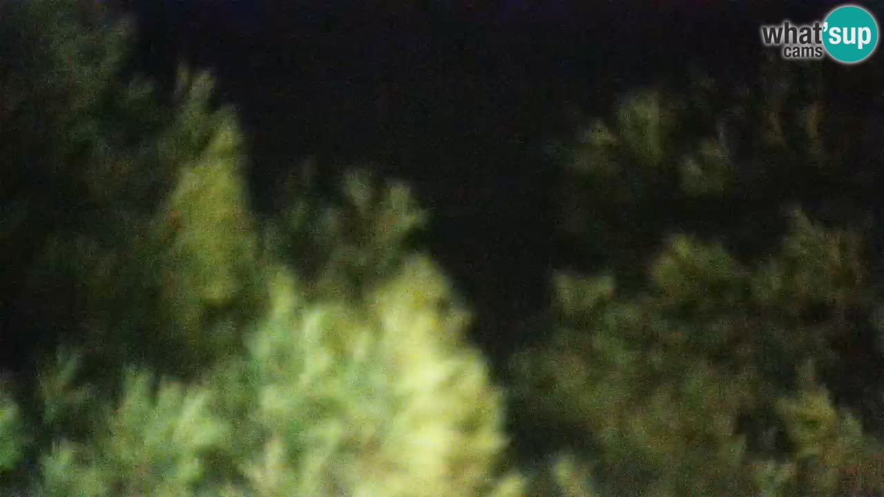 Lumbarda resort Webcam Korčula