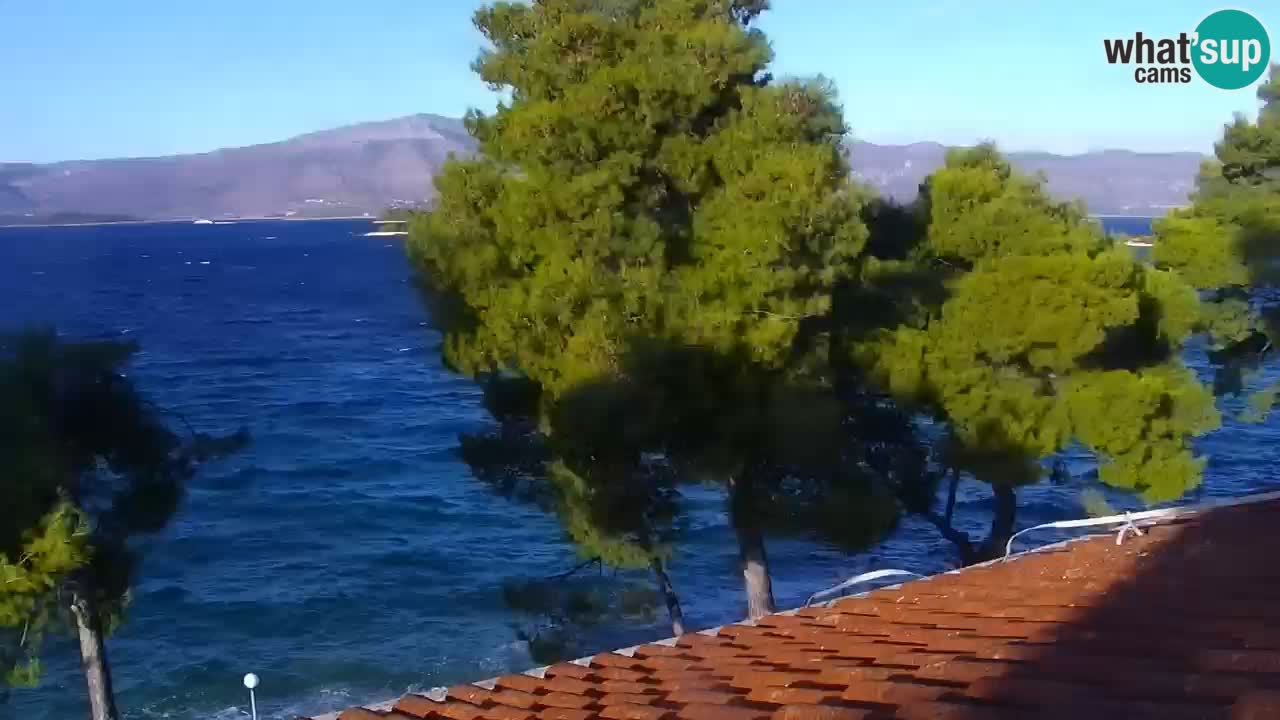 Lumbarda resort Web Kamera Korčula