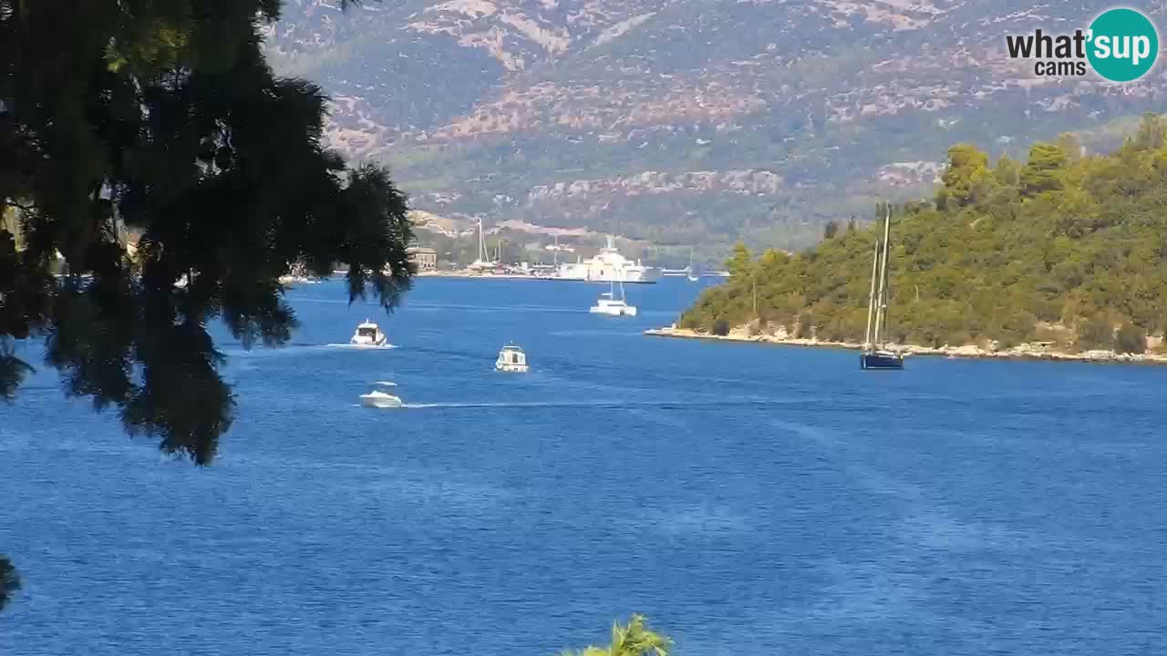 Lumbarda resort – livecam Korčula