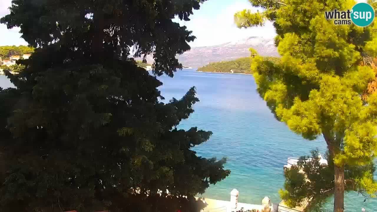 Lumbarda Resort camera en vivo Korčula