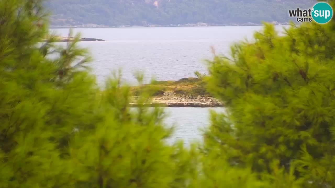 Lumbarda Resort camera en vivo Korčula