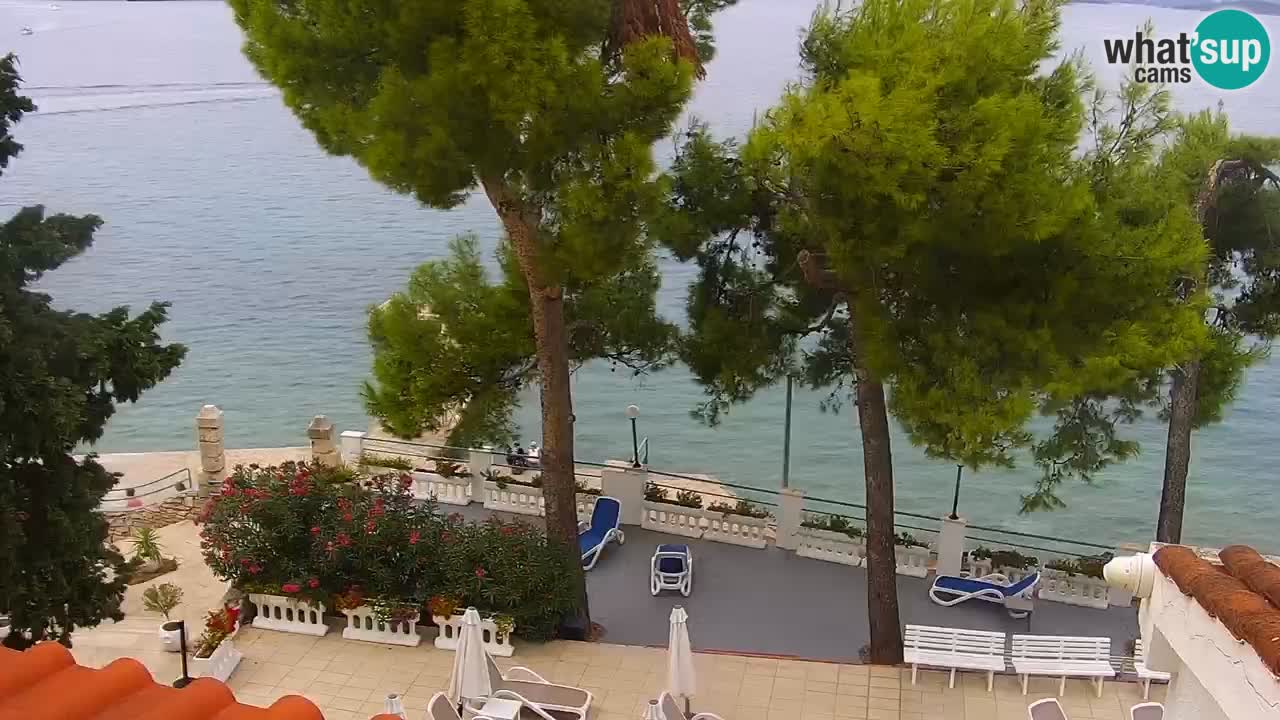 Lumbarda Resort camera en vivo Korčula