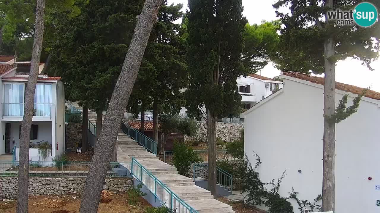Lumbarda resort Webcam Korčula