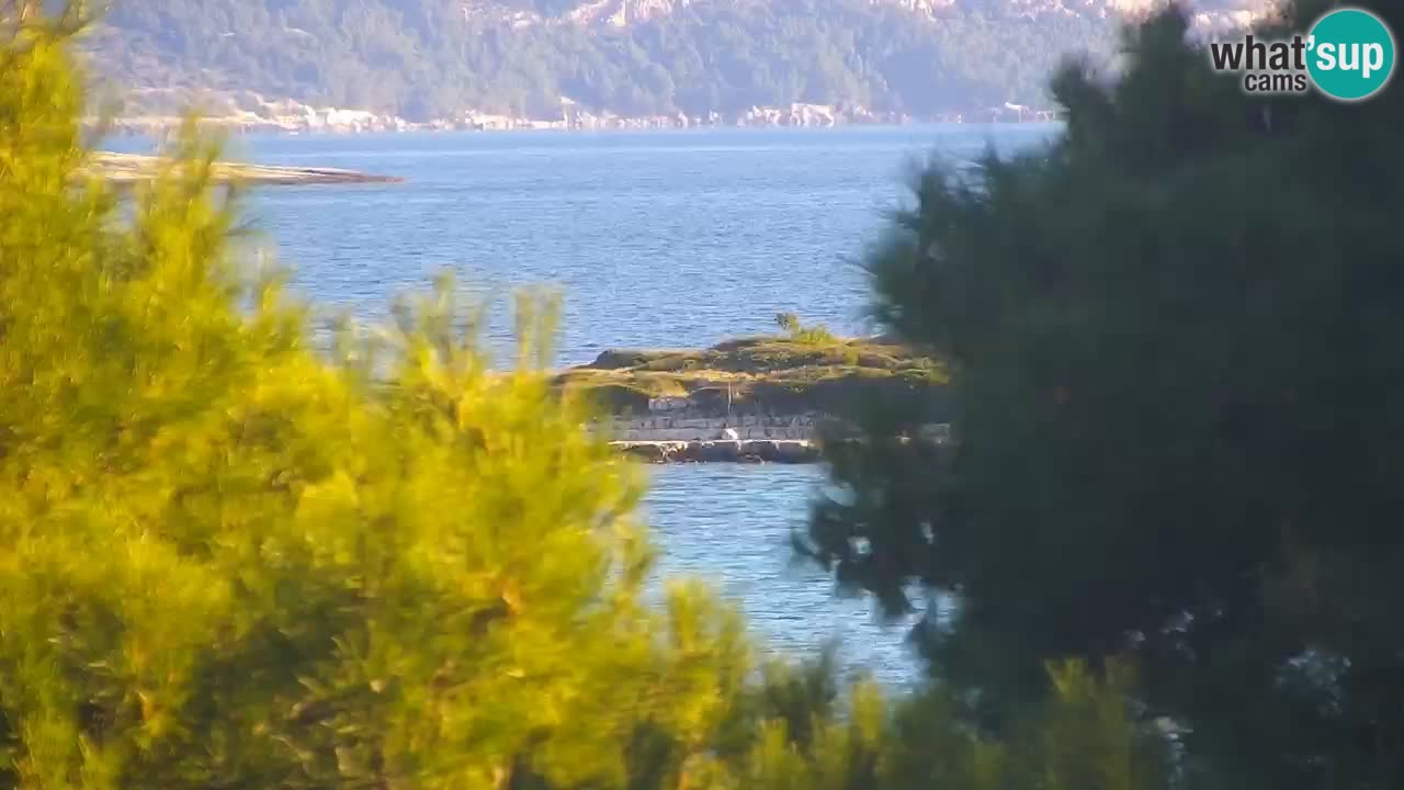 Web camera - Lumbarda (Korčula)