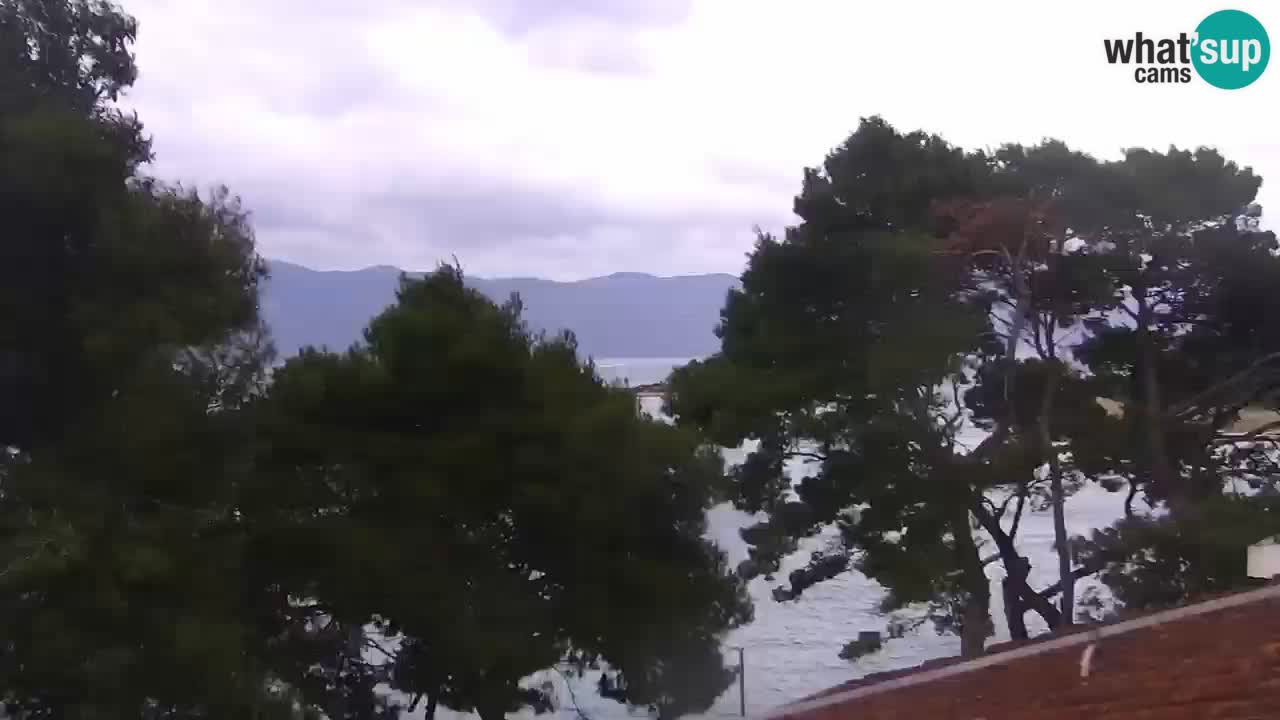 Webcam - Lumbarda (Korčula)