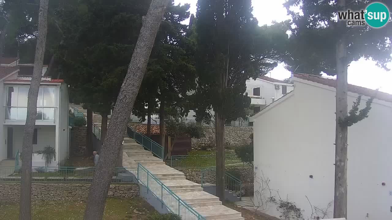 Web camera - Lumbarda (Korčula)