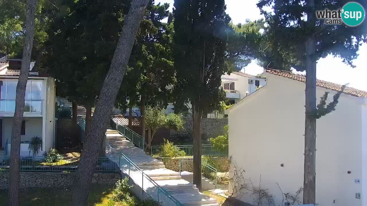 Web kamera - Lumbarda (Korčula)