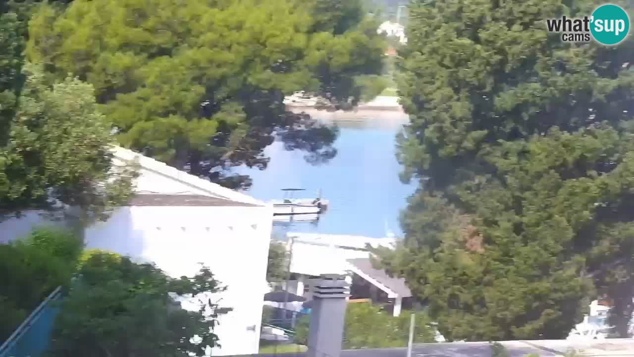 Webkamera - Lumbarda (Korčula)