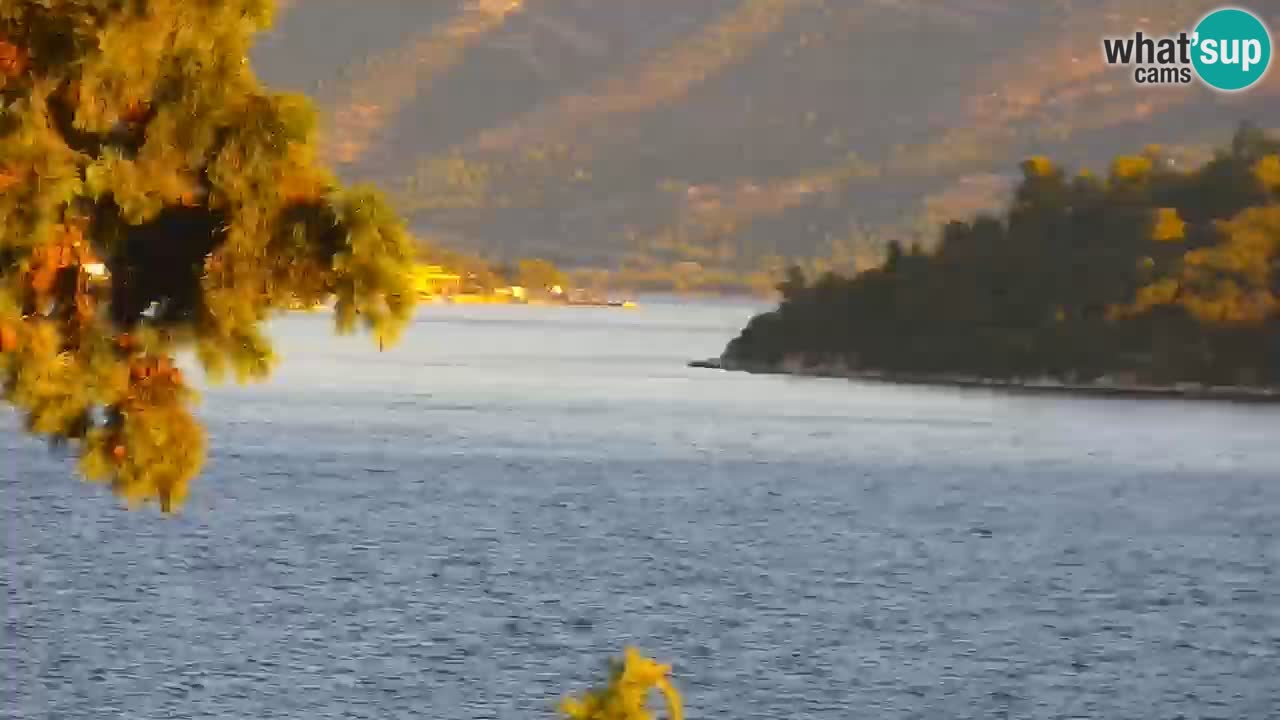 Web kamera - Lumbarda (Korčula)