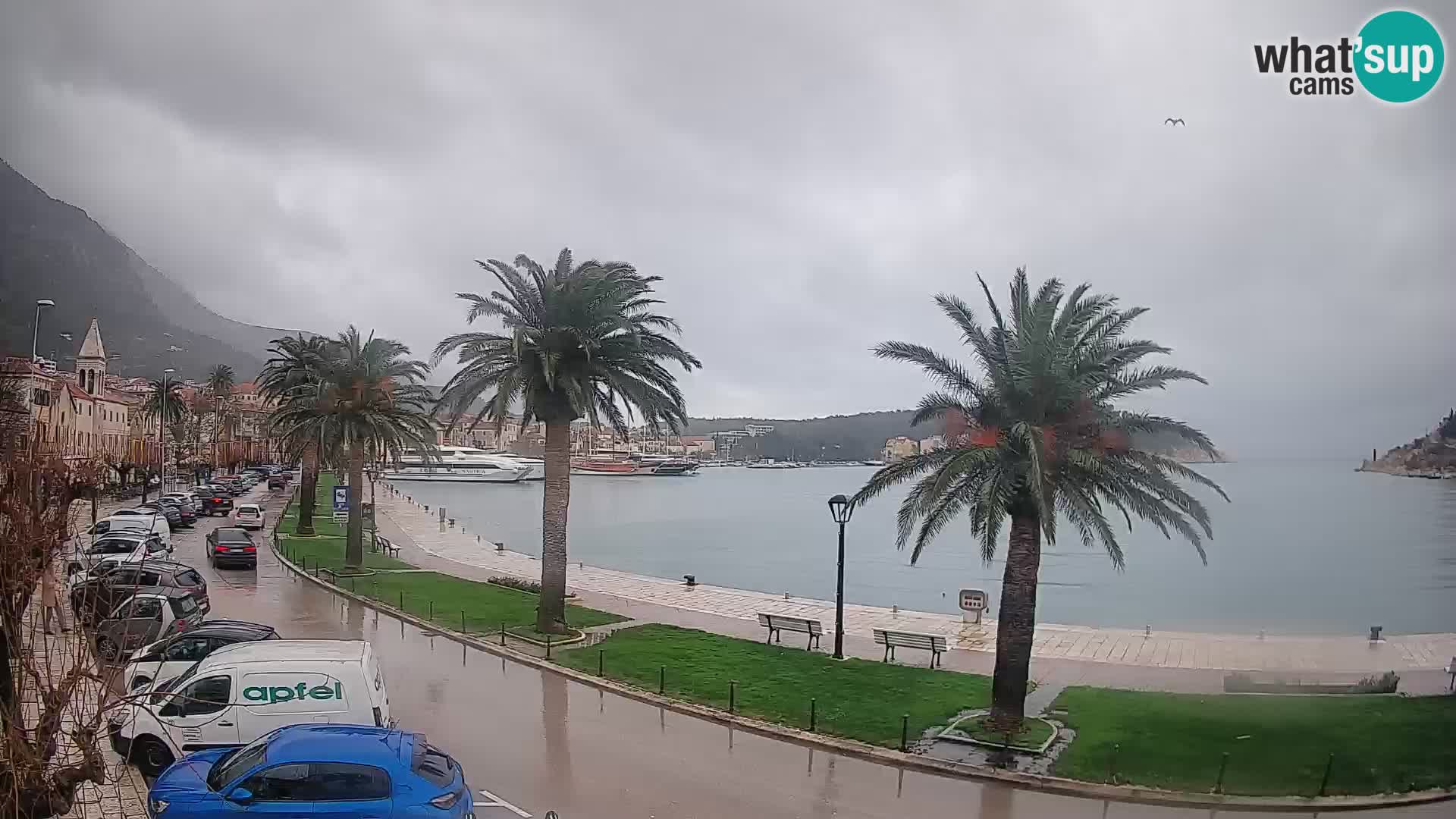 Makarska – Riva king Tomislav