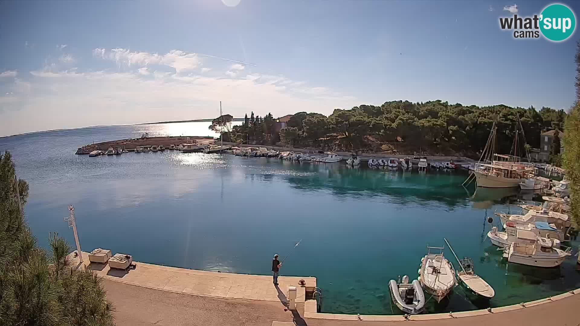 Mandre – marina