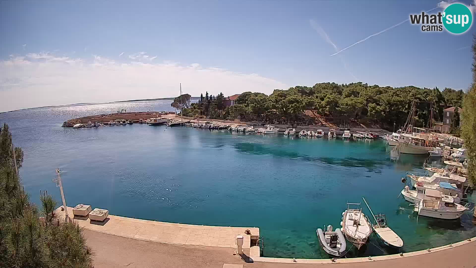 Mandre – marina