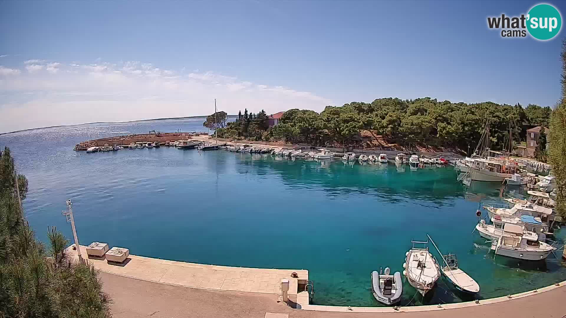 Mandre – marina