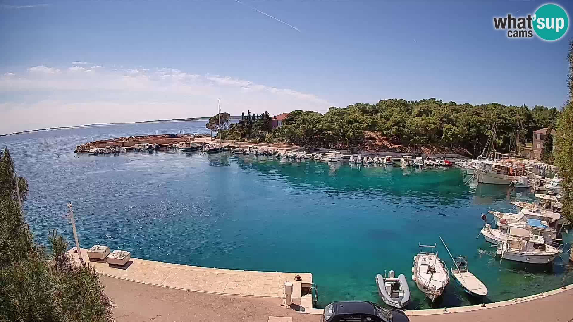 Mandre – marina