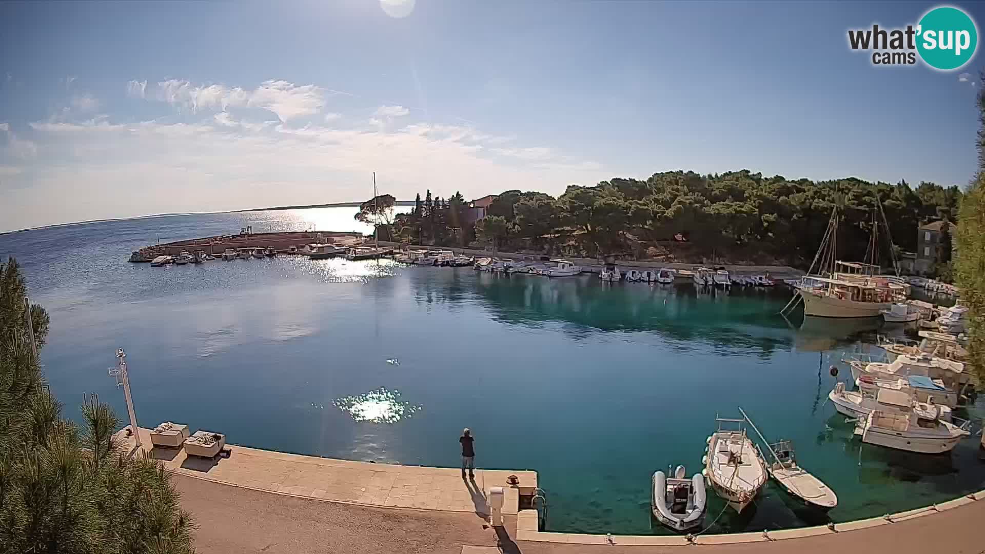 Mandre – marina