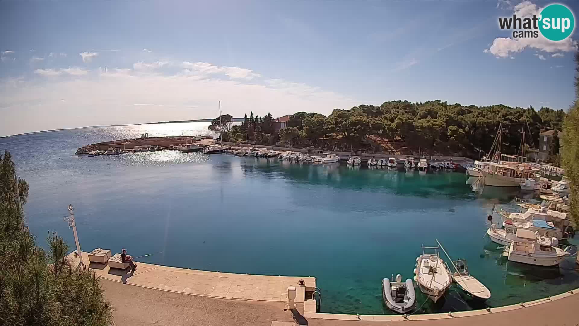 Mandre – marina