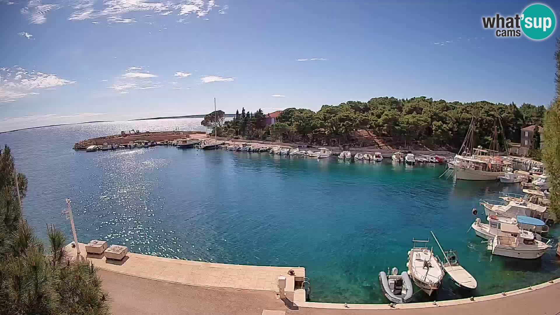 Mandre – marina
