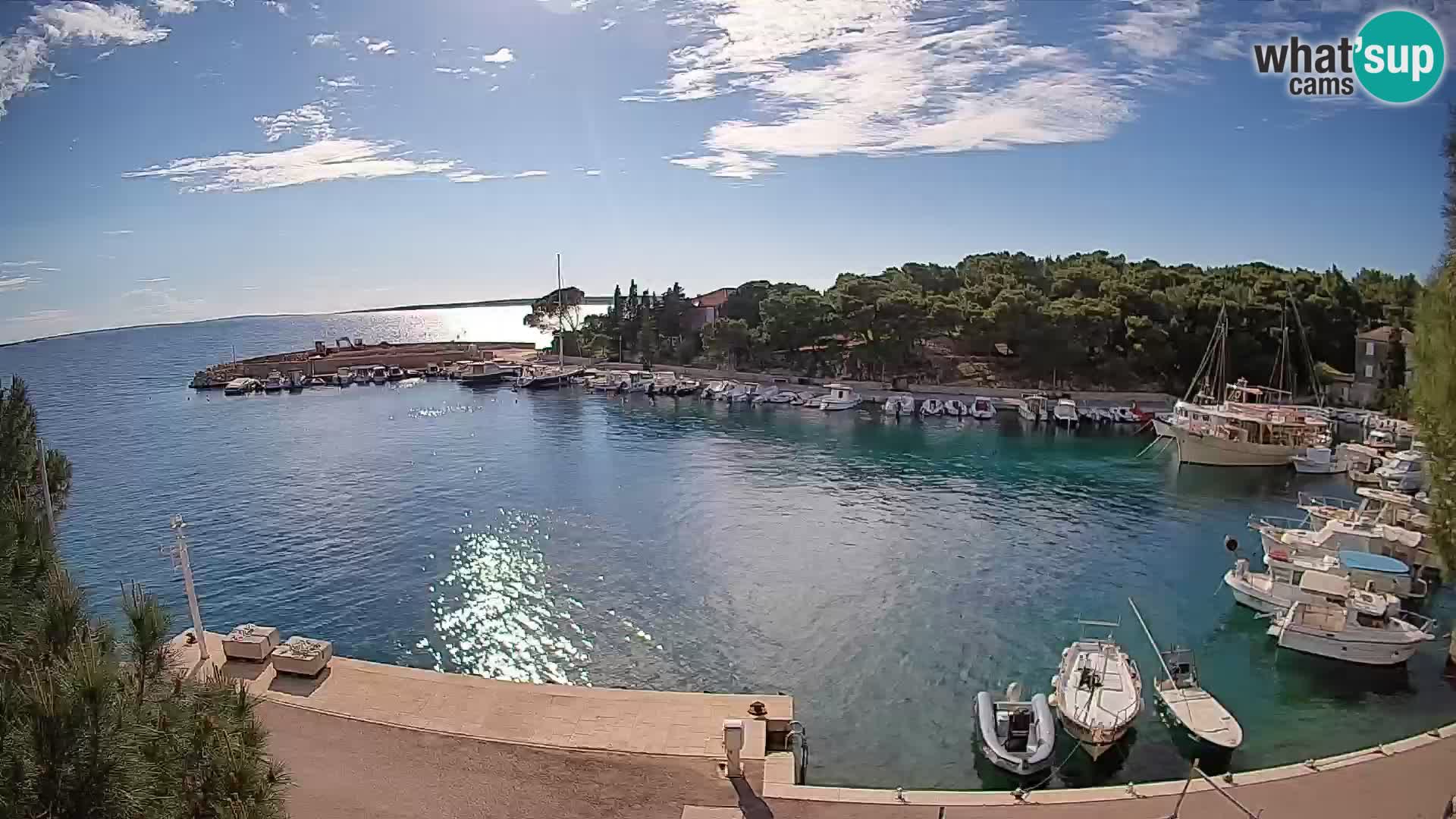 Mandre – marina