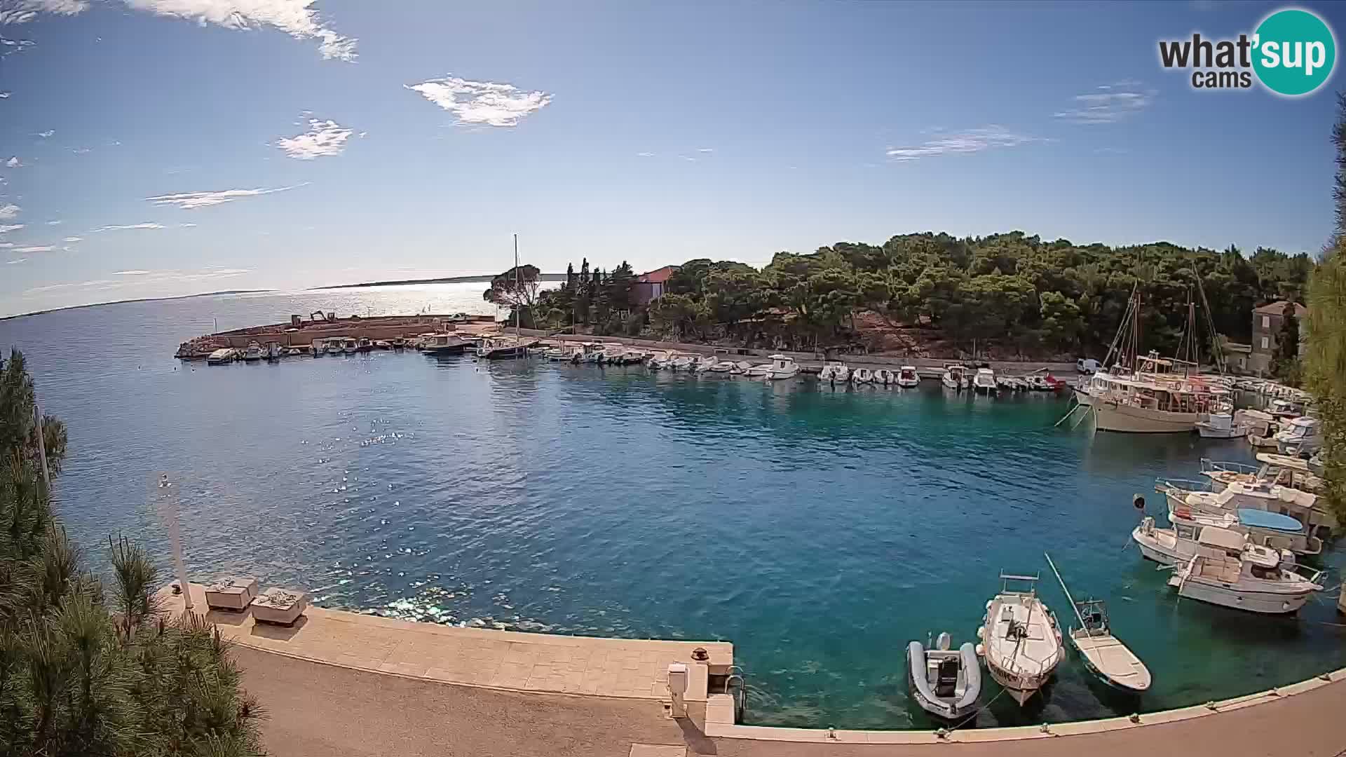 Mandre – marina