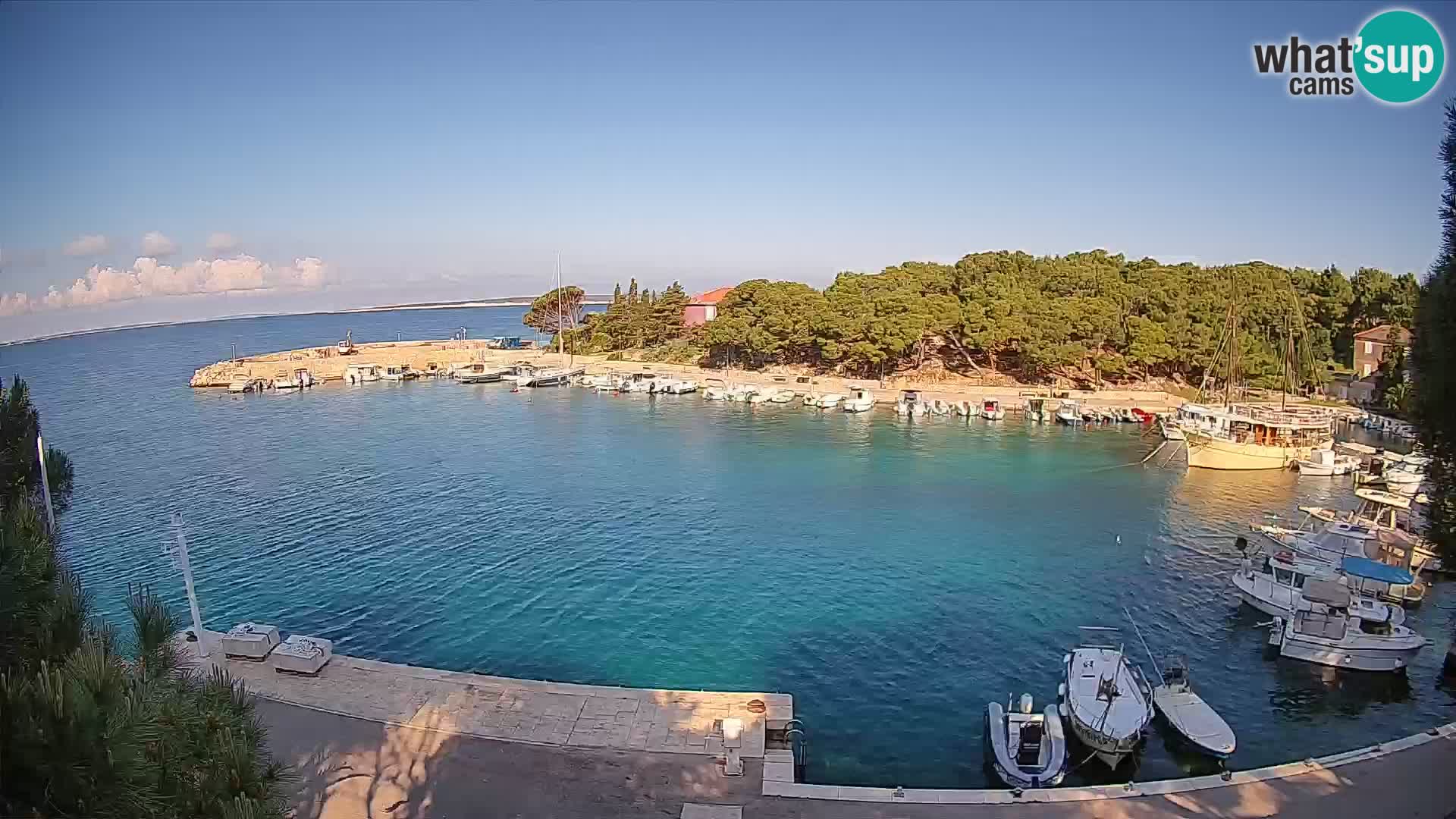 Mandre – marina