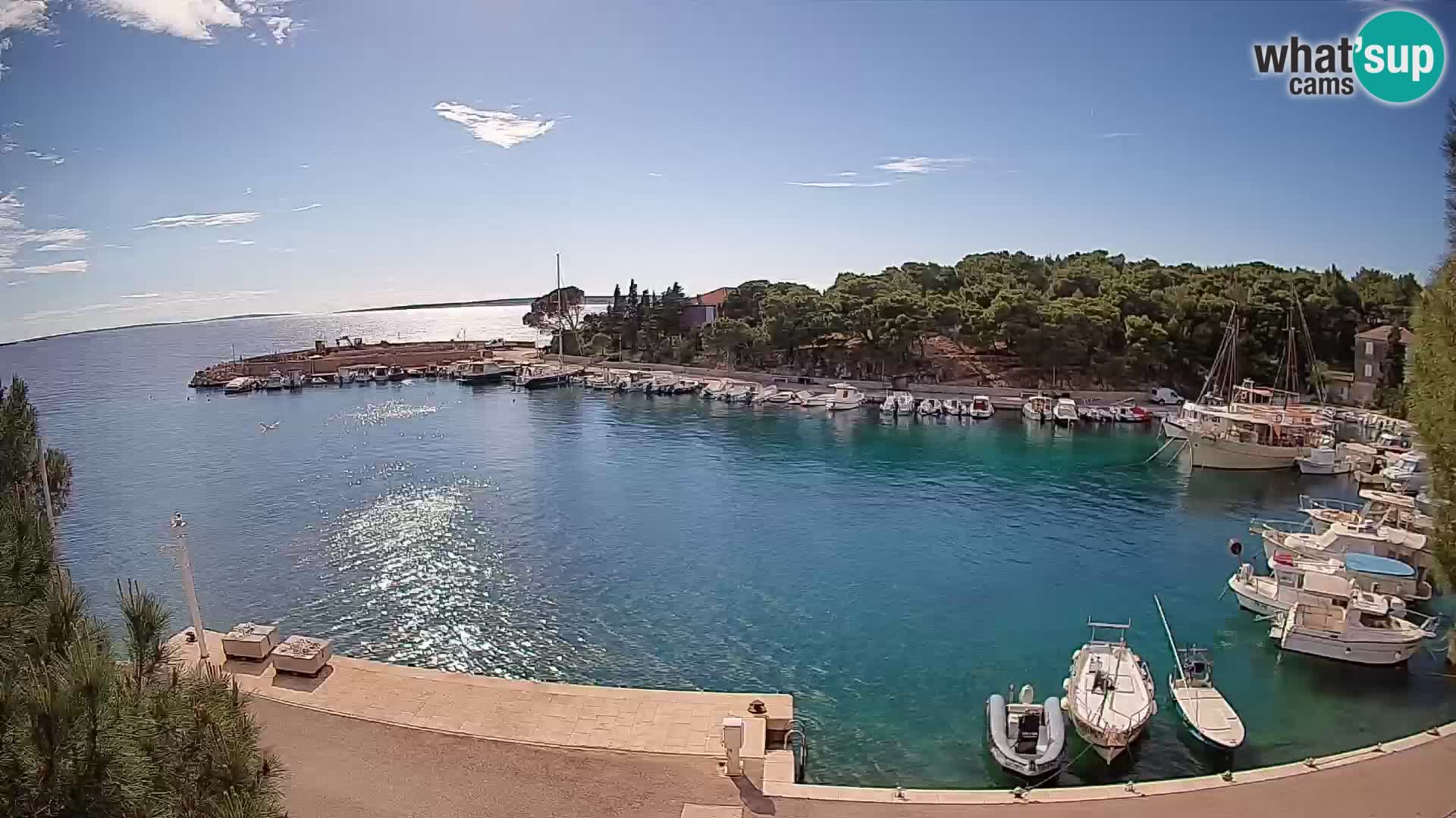Mandre – marina