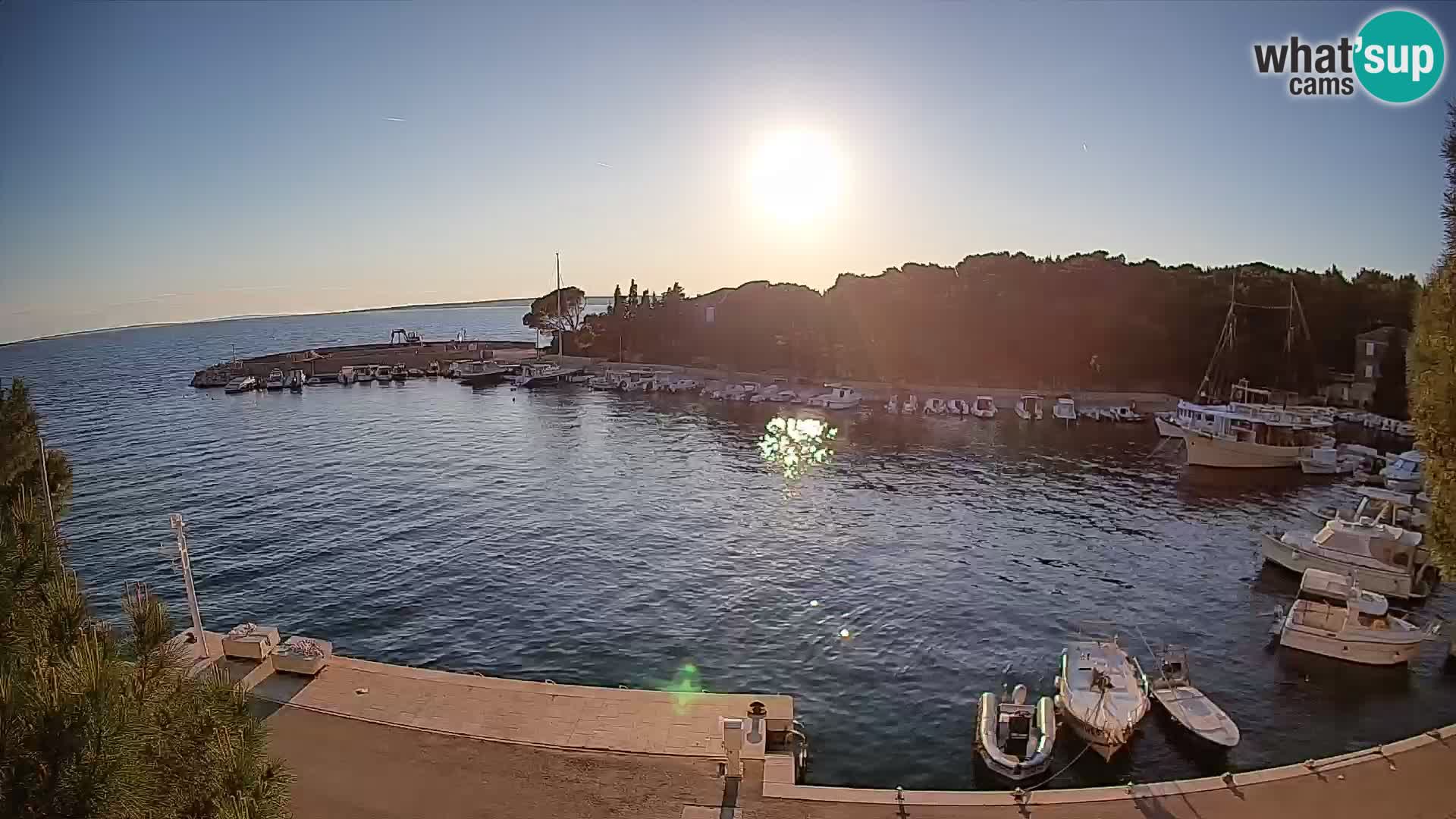 Mandre – marina