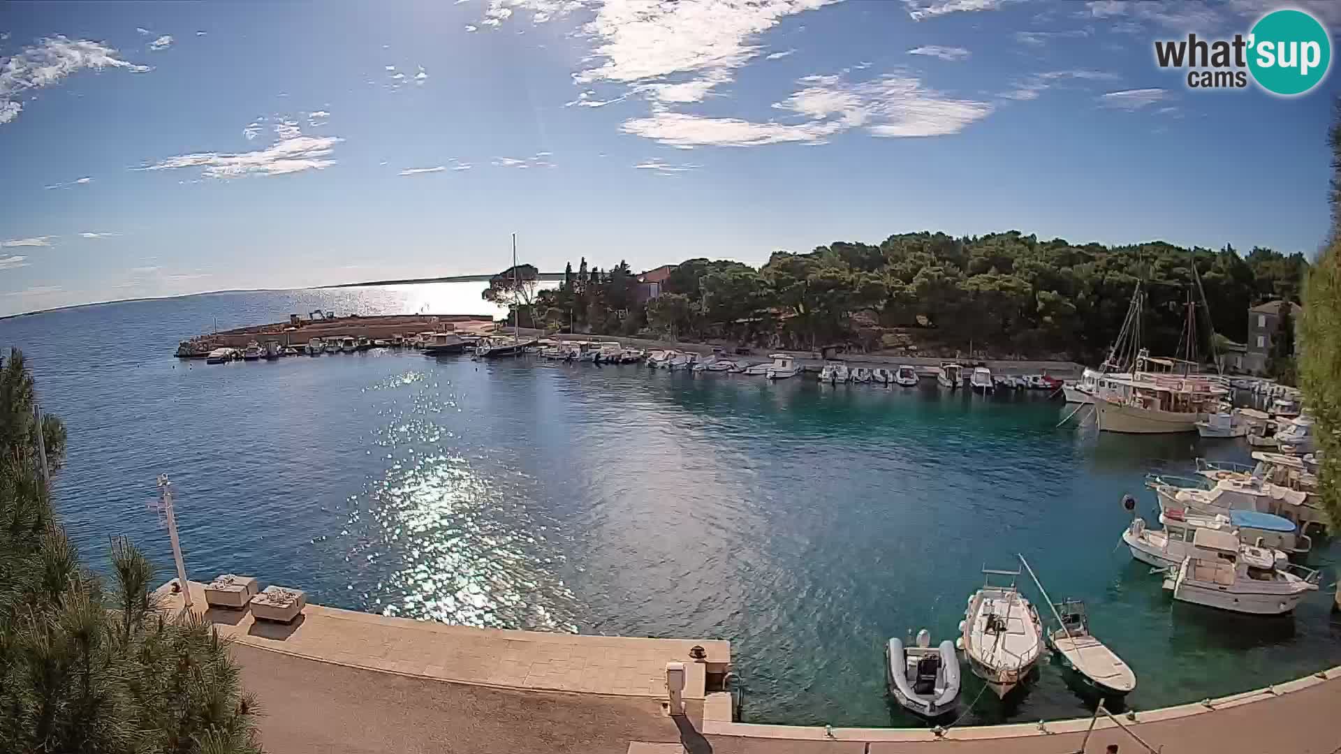Mandre – marina