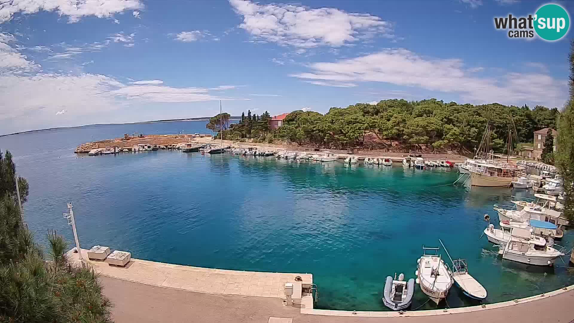 Mandre – marina