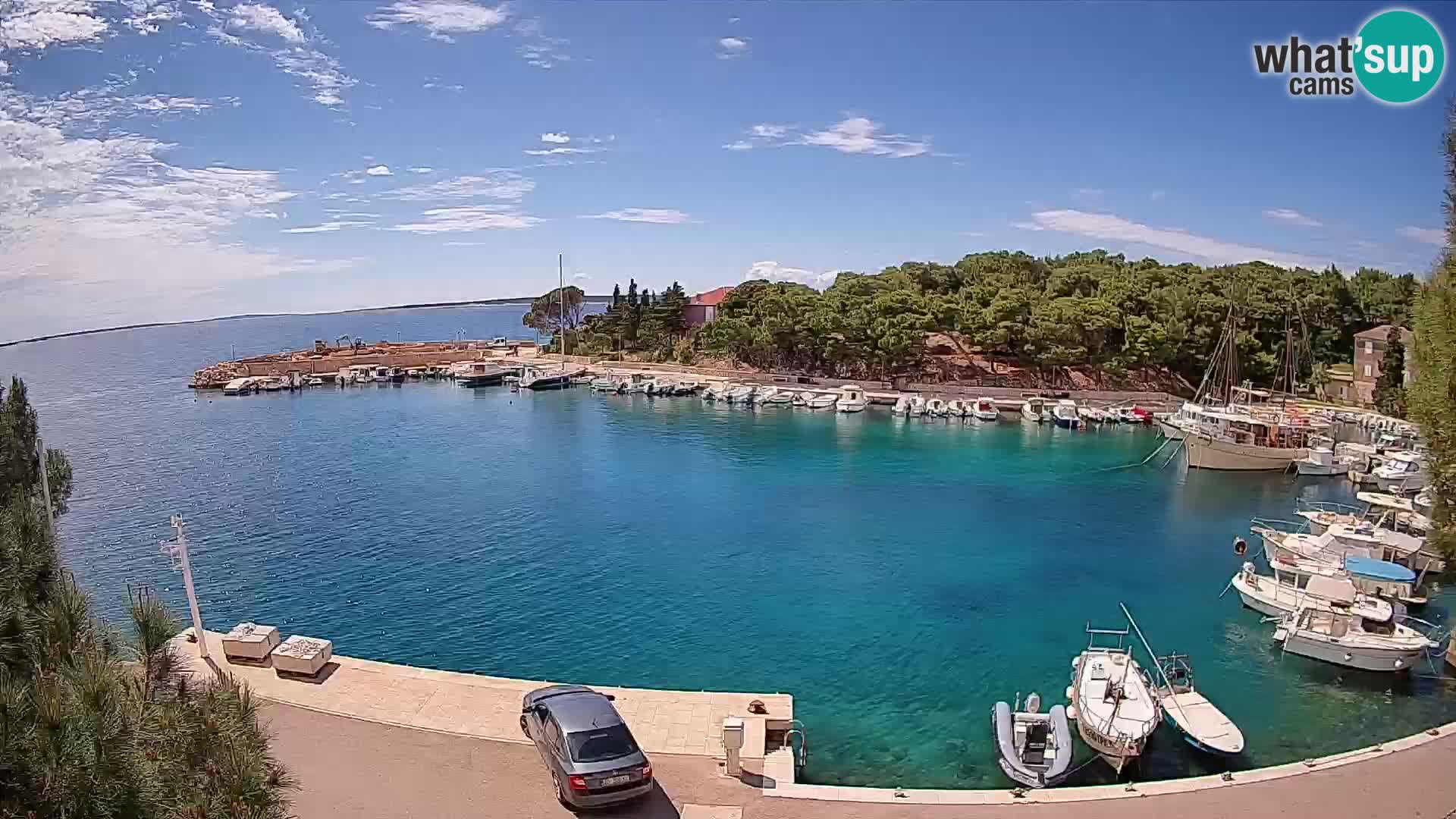 Mandre – marina