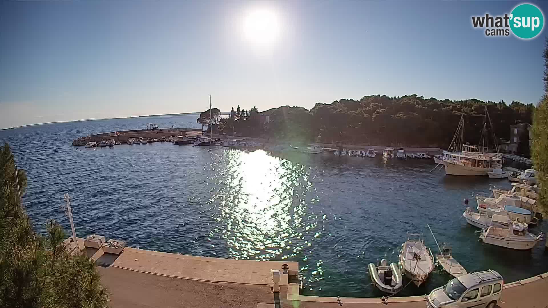 Mandre – marina