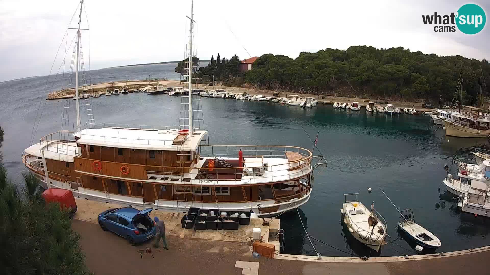 Mandre – marina