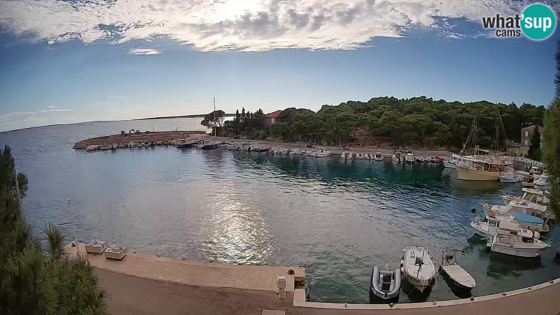 Mandre – marina