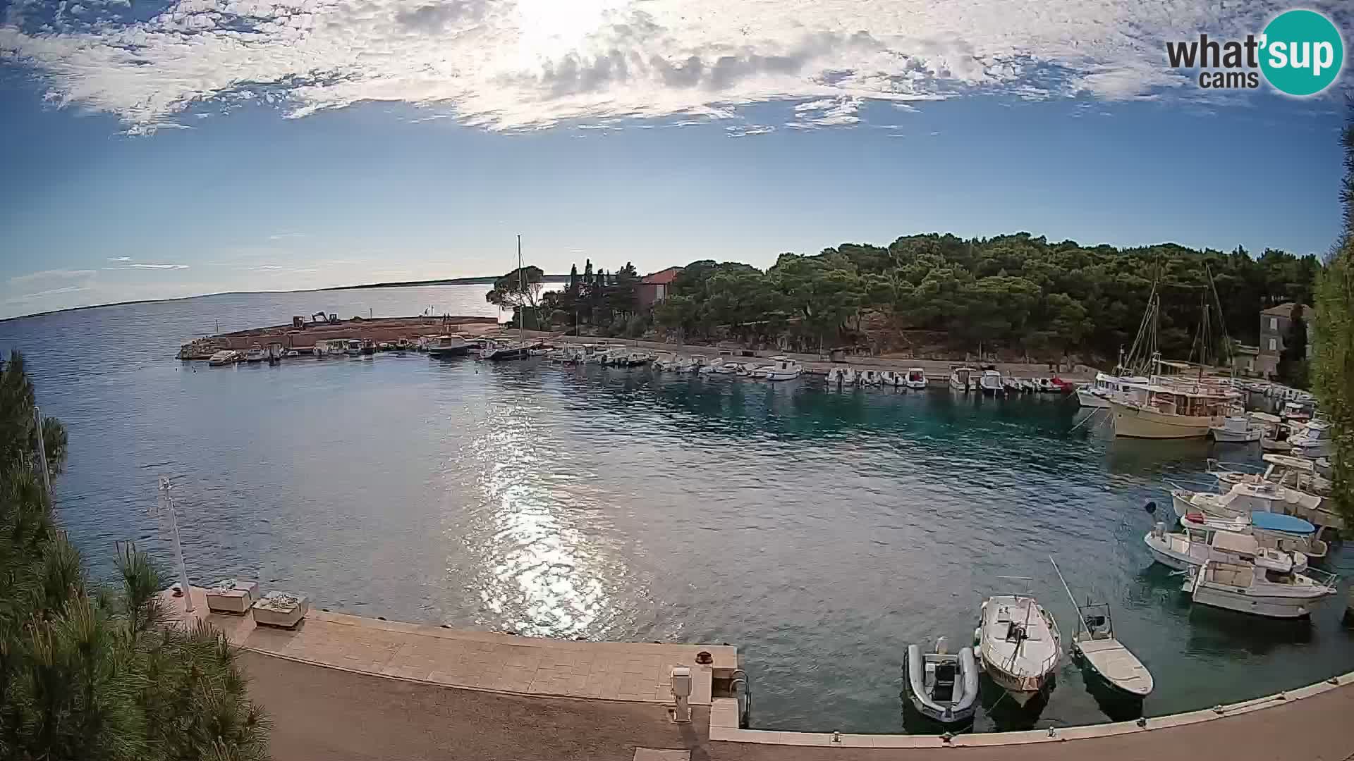 Mandre – marina