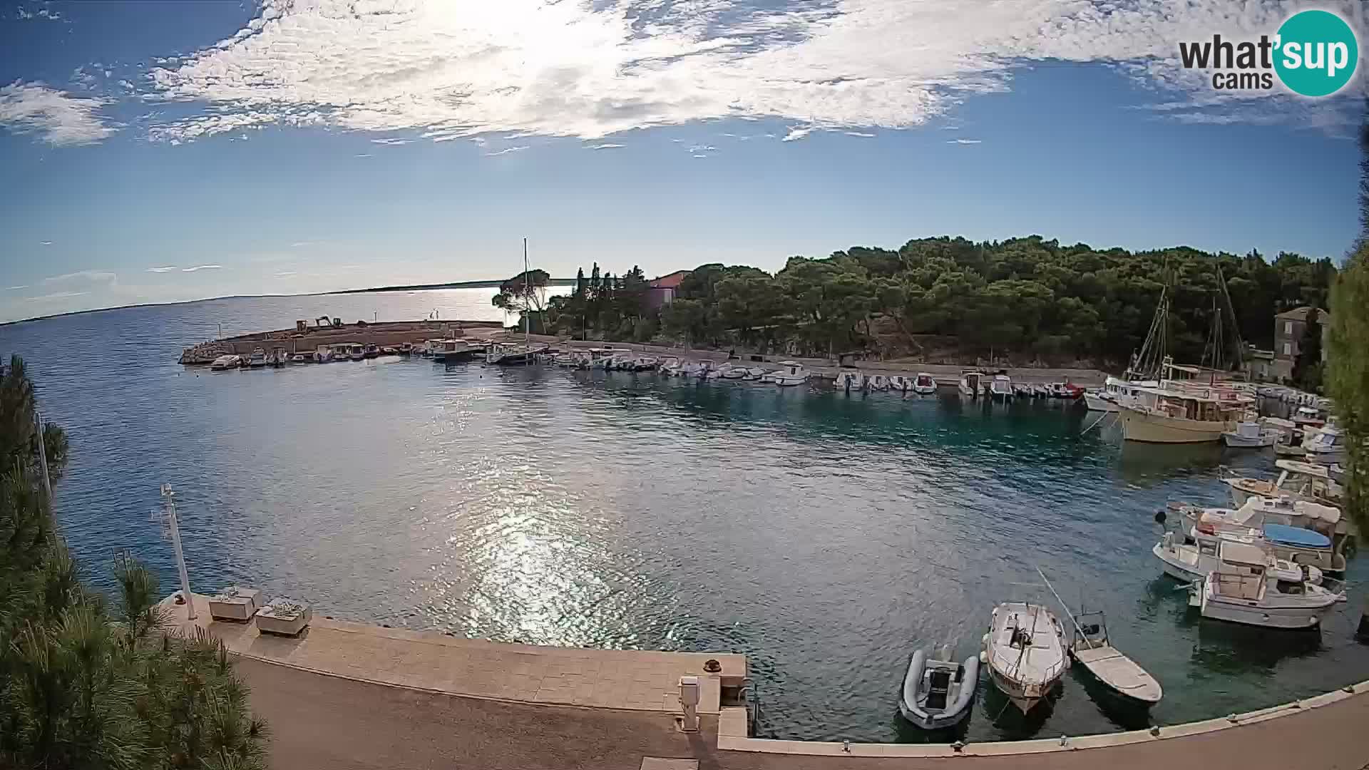 Mandre – marina