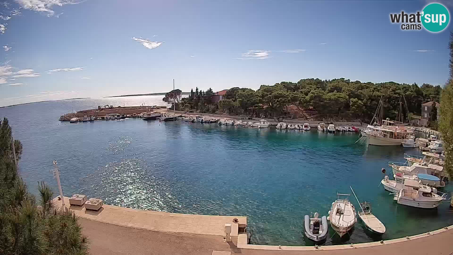 Mandre – marina