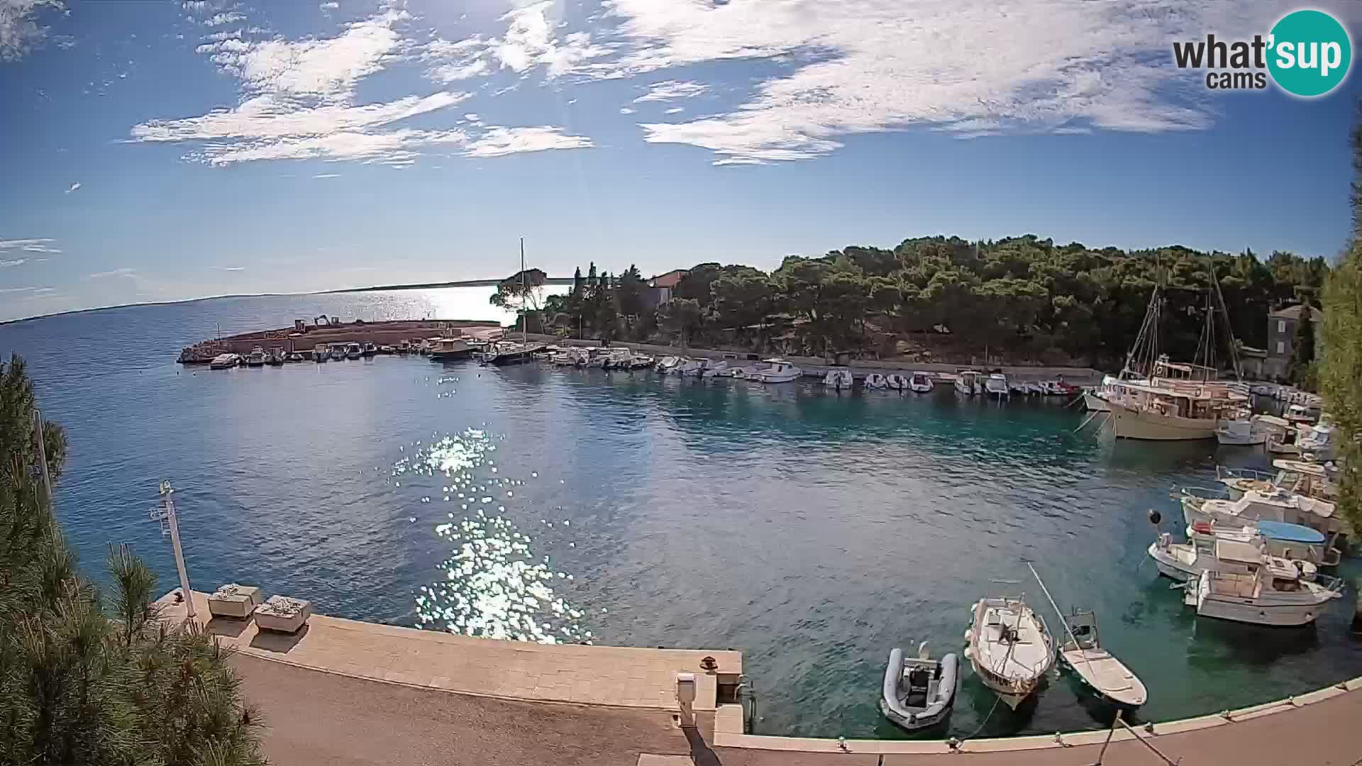Mandre – marina