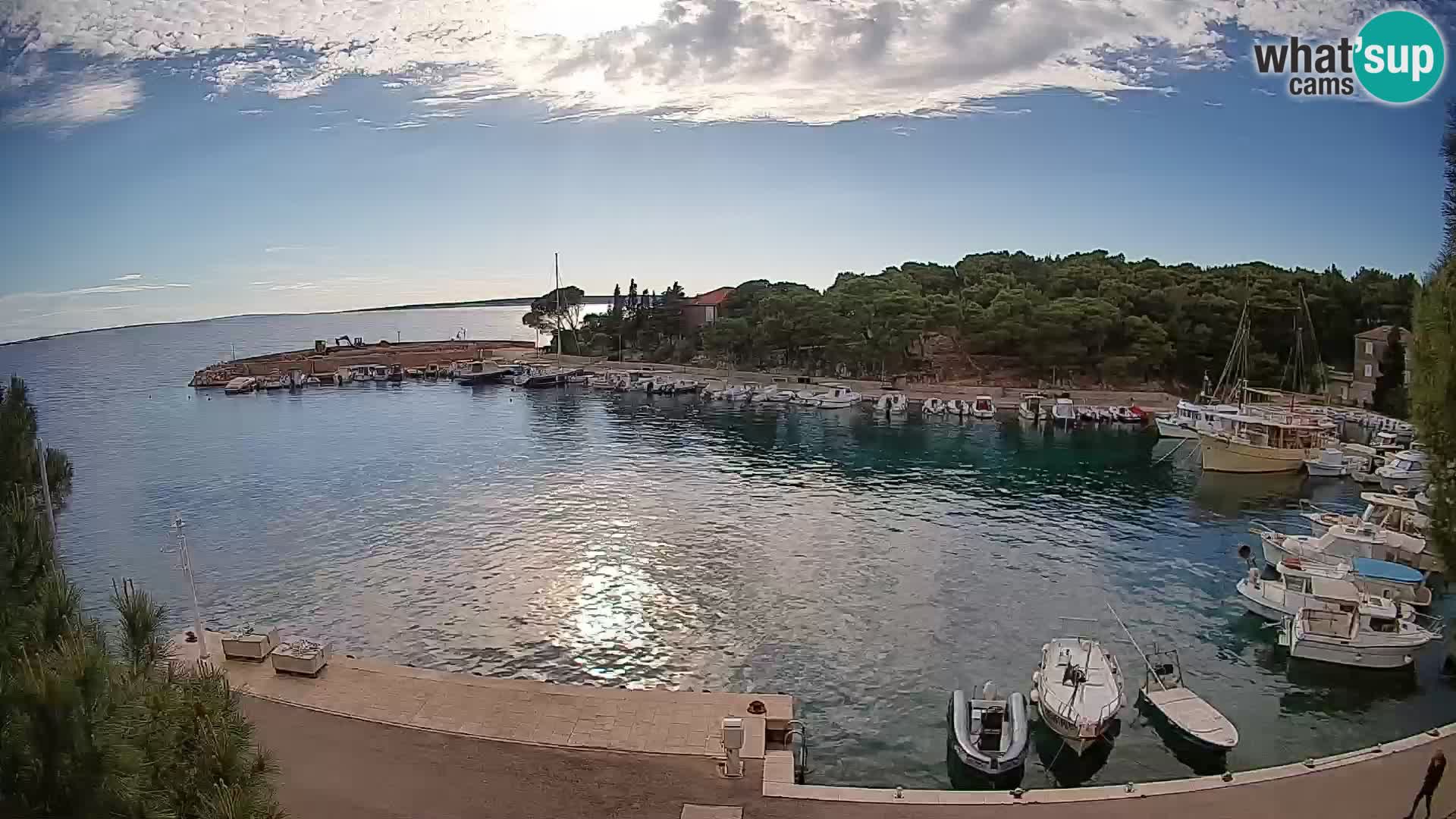 Mandre – marina