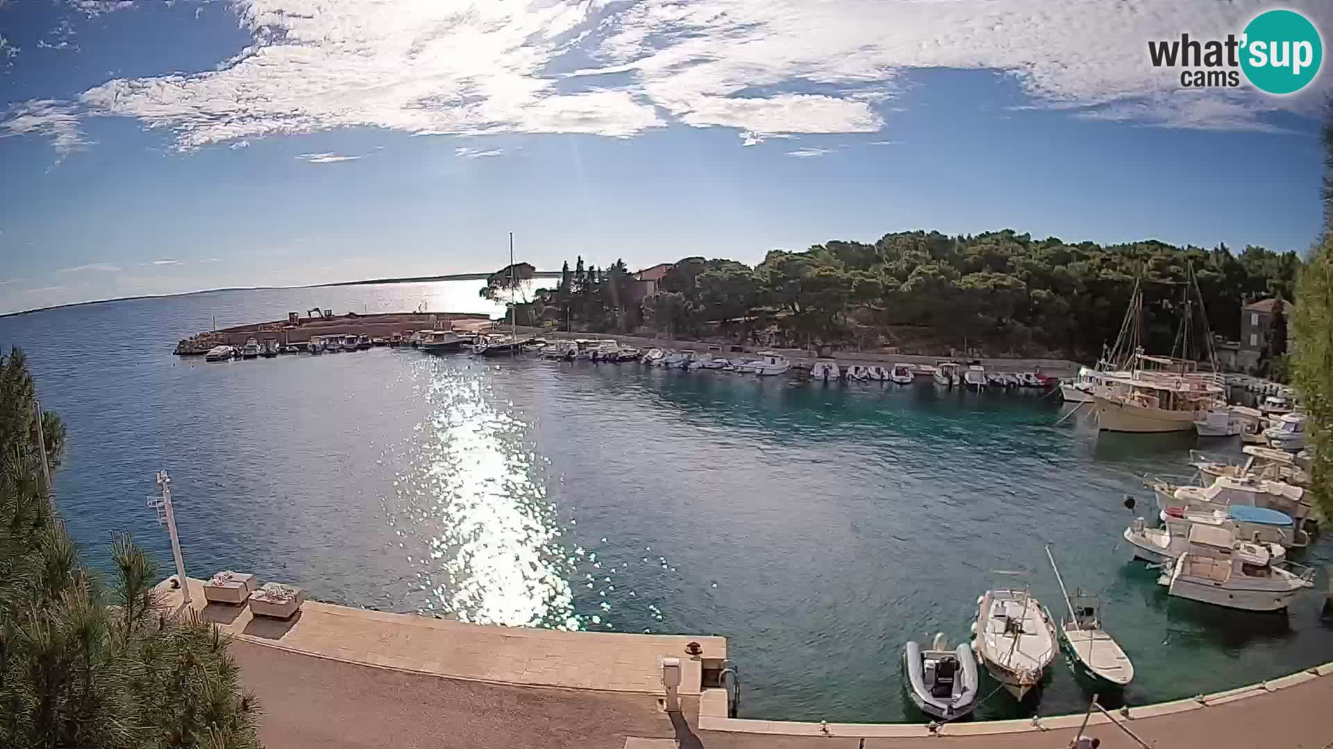 Mandre – marina