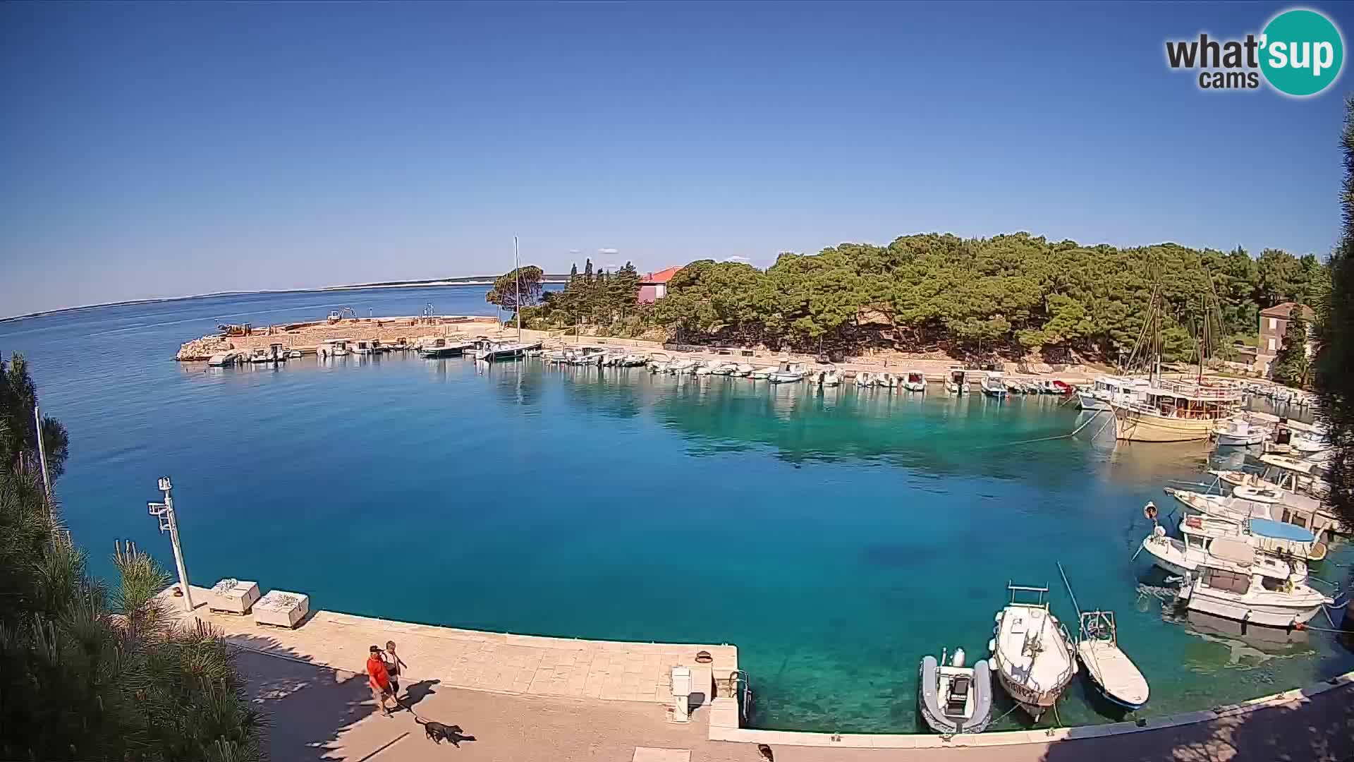 Mandre – marina