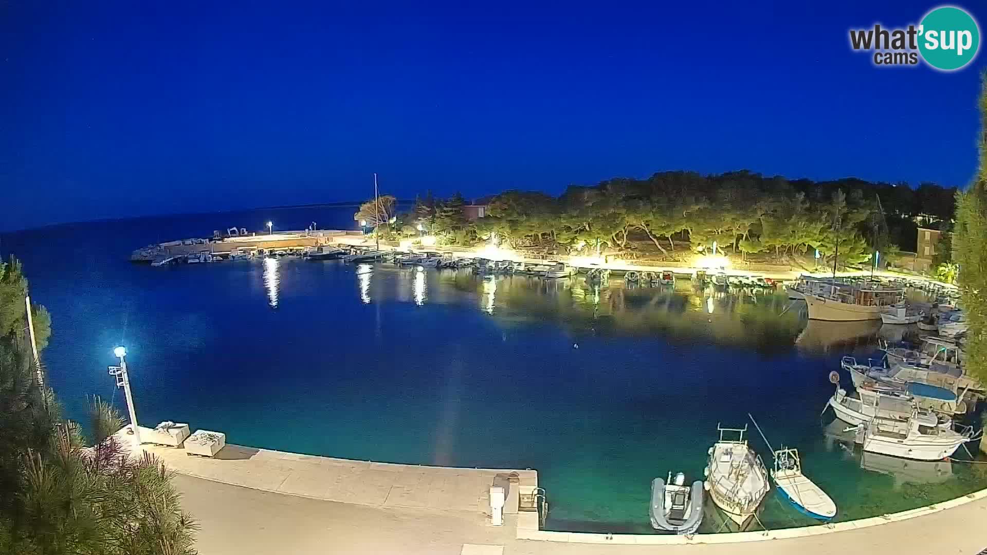 Mandre – marina