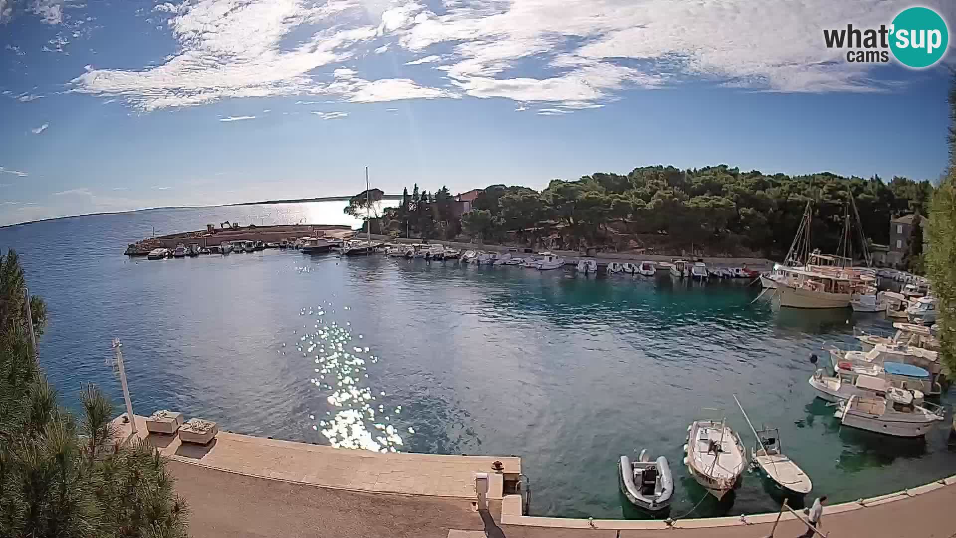 Mandre – marina