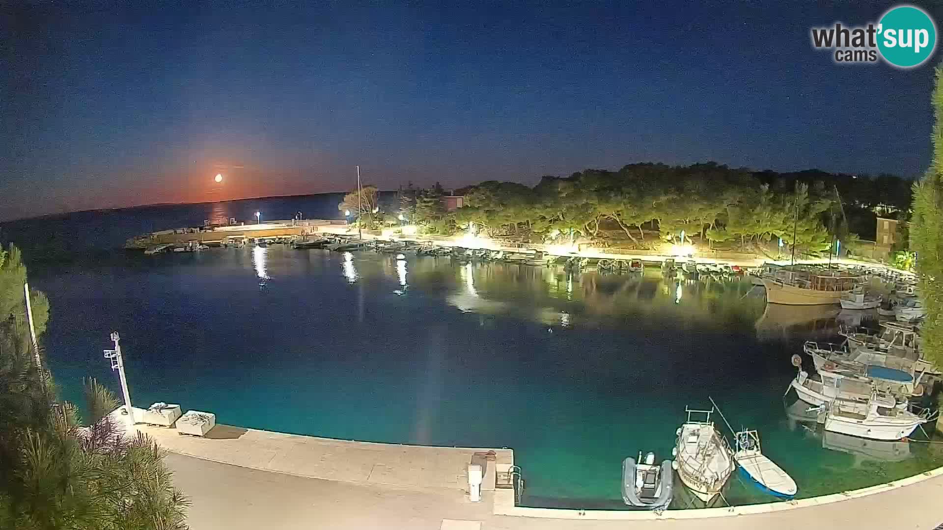Mandre – marina