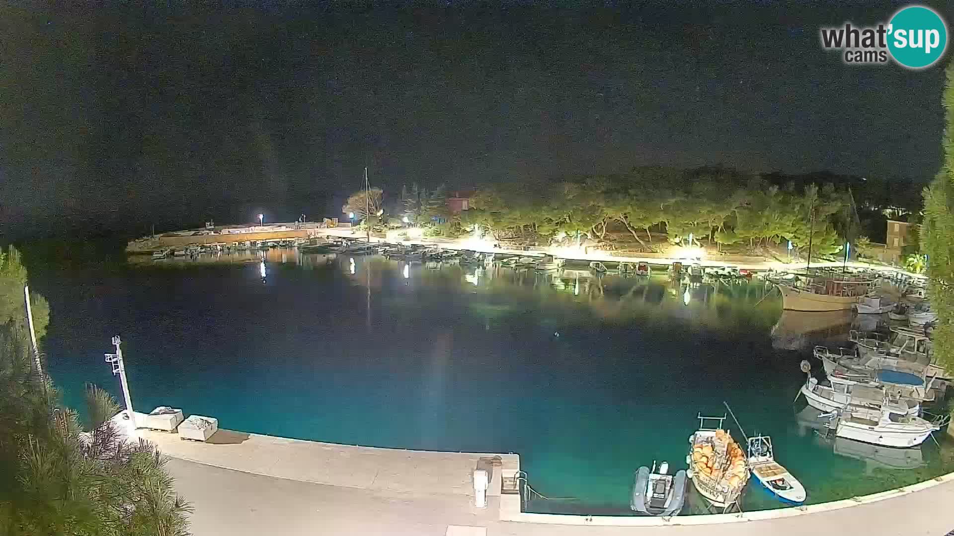 Mandre – marina