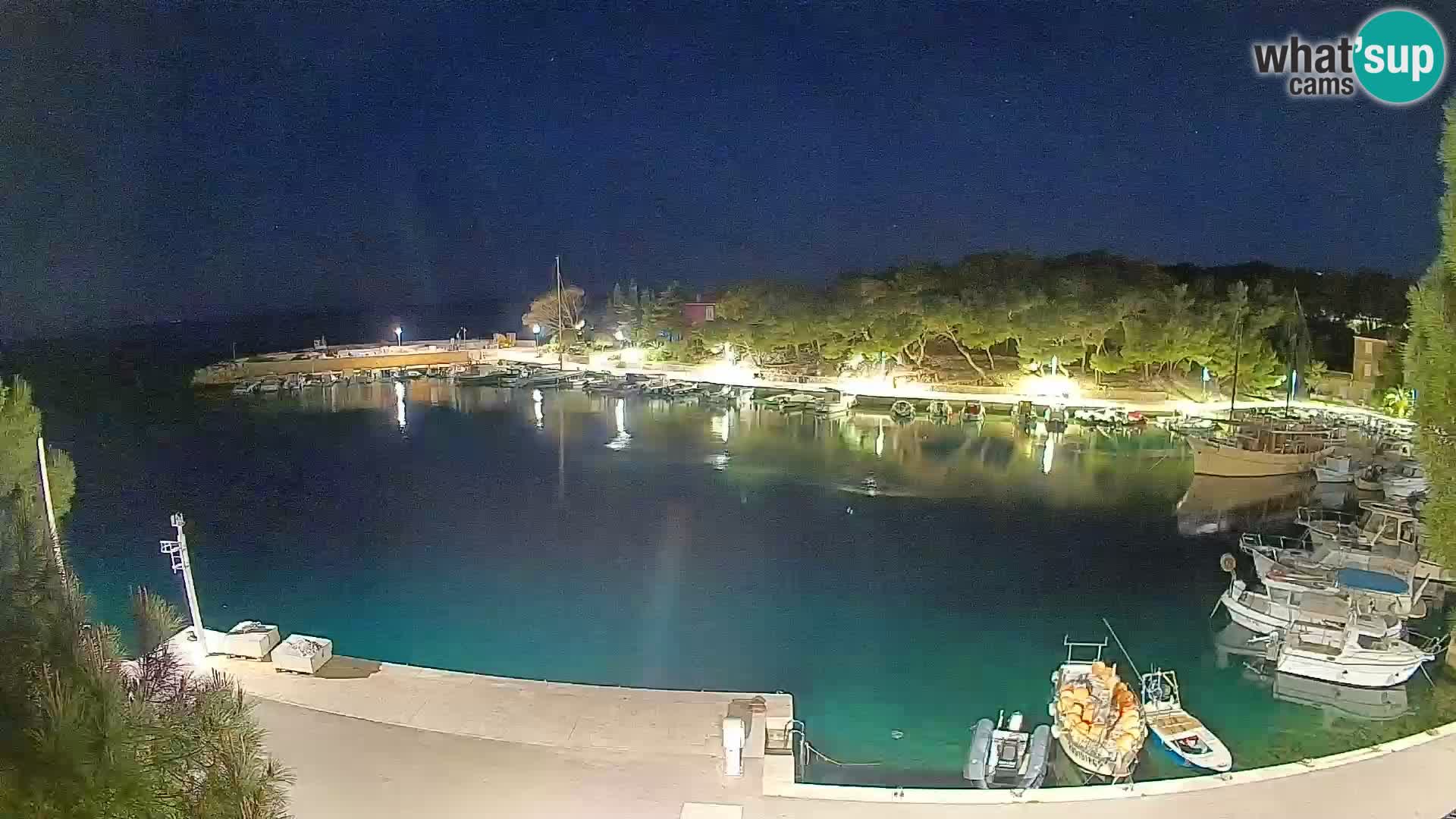 Mandre – marina