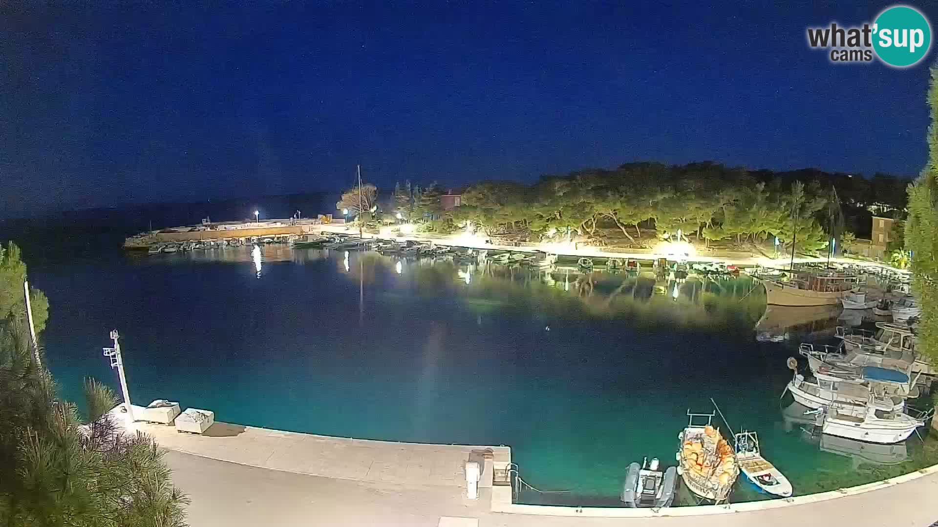 Mandre – marina