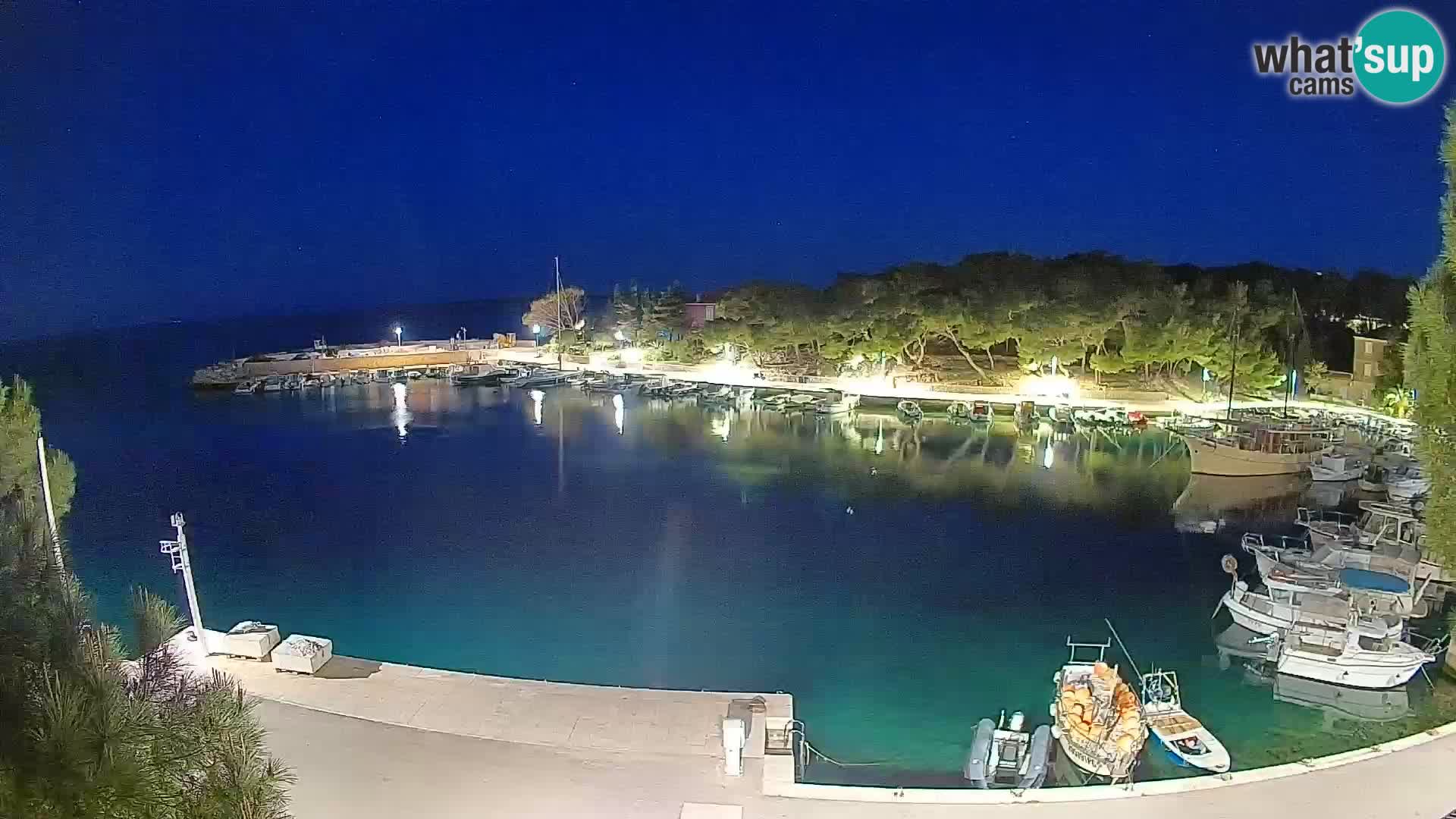 Mandre – marina