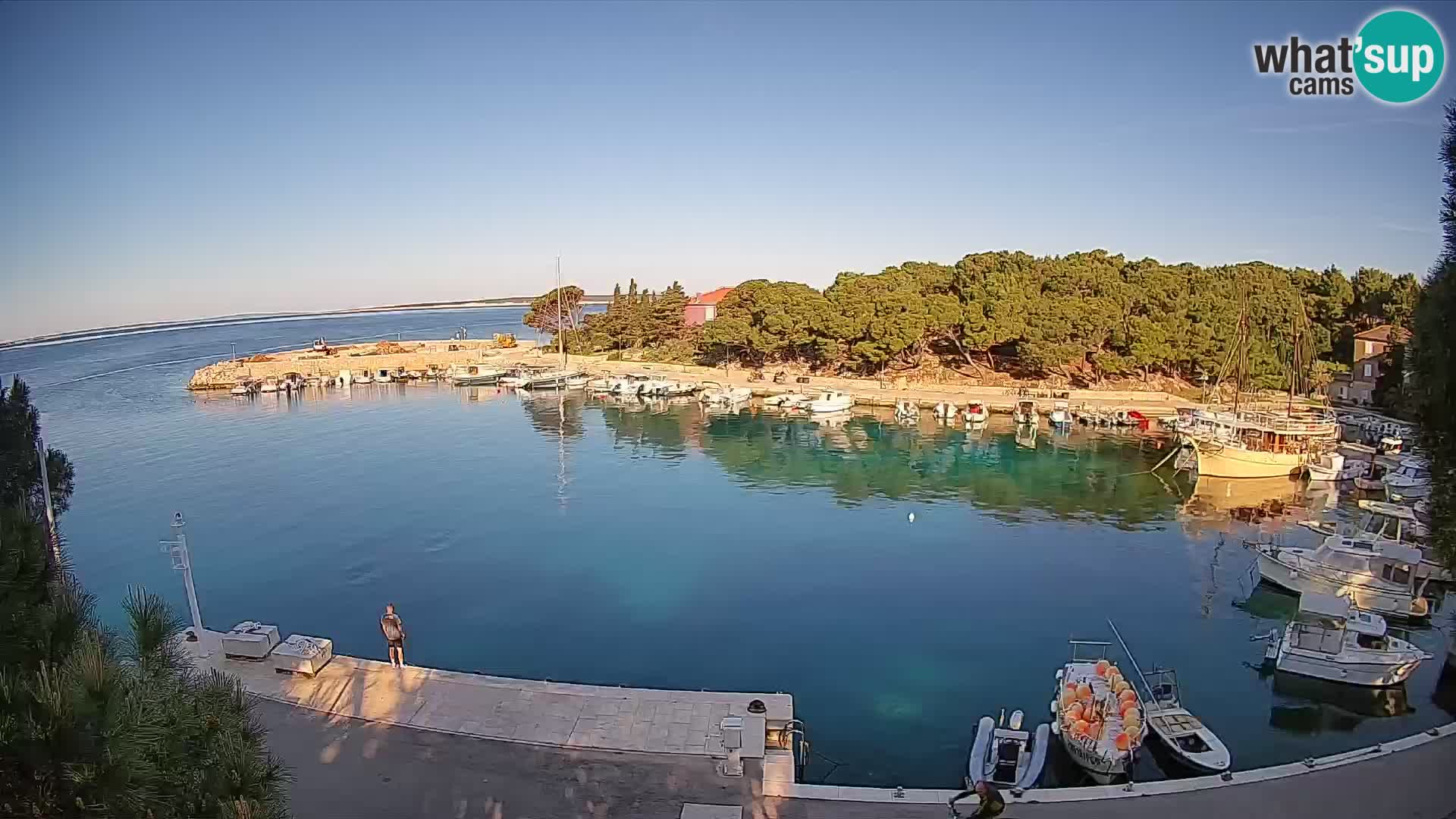 Mandre – marina